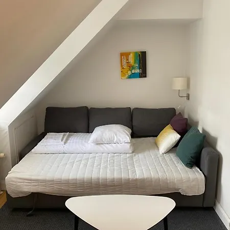 Charming Apartment In Historic City Center Apartment *